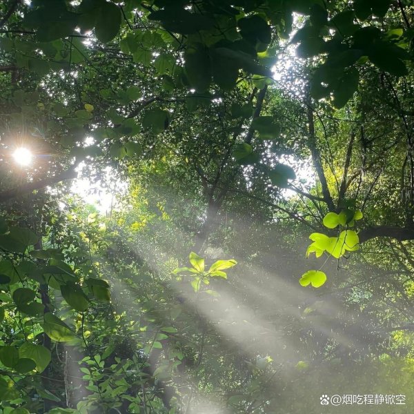 配资炒股炒股 2025年度最新资讯：济南金惠产业发展新能源环卫系列车辆采购项目