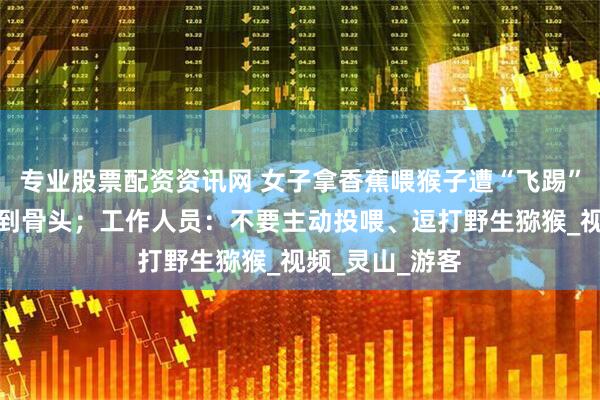 专业股票配资资讯网 女子拿香蕉喂猴子遭“飞踢”，失衡跌落伤到骨头；工作人员：不要主动投喂、逗打野生猕猴_视频_灵山_游客