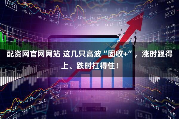 配资网官网网站 这几只高波“固收+”，涨时跟得上、跌时扛得住！